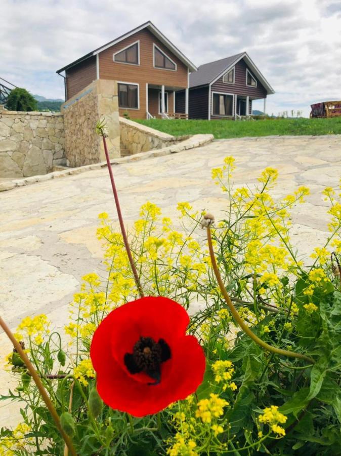 Cottage Chalet And Tours Dilican Dış mekan fotoğraf